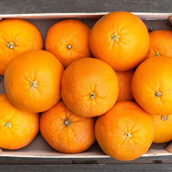 Caja de naranjas 5KG
